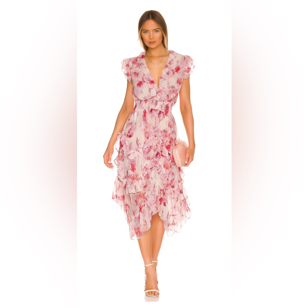 NWT Misa - Dakota Dress in Abstract Rose Flora